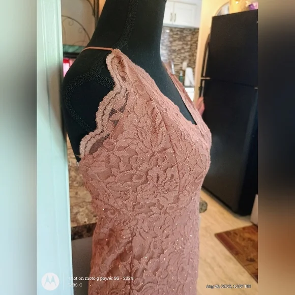 Windsor Lace Backless Dress in Rose Gold New With Tags Size Medium - Picture 4 of 4